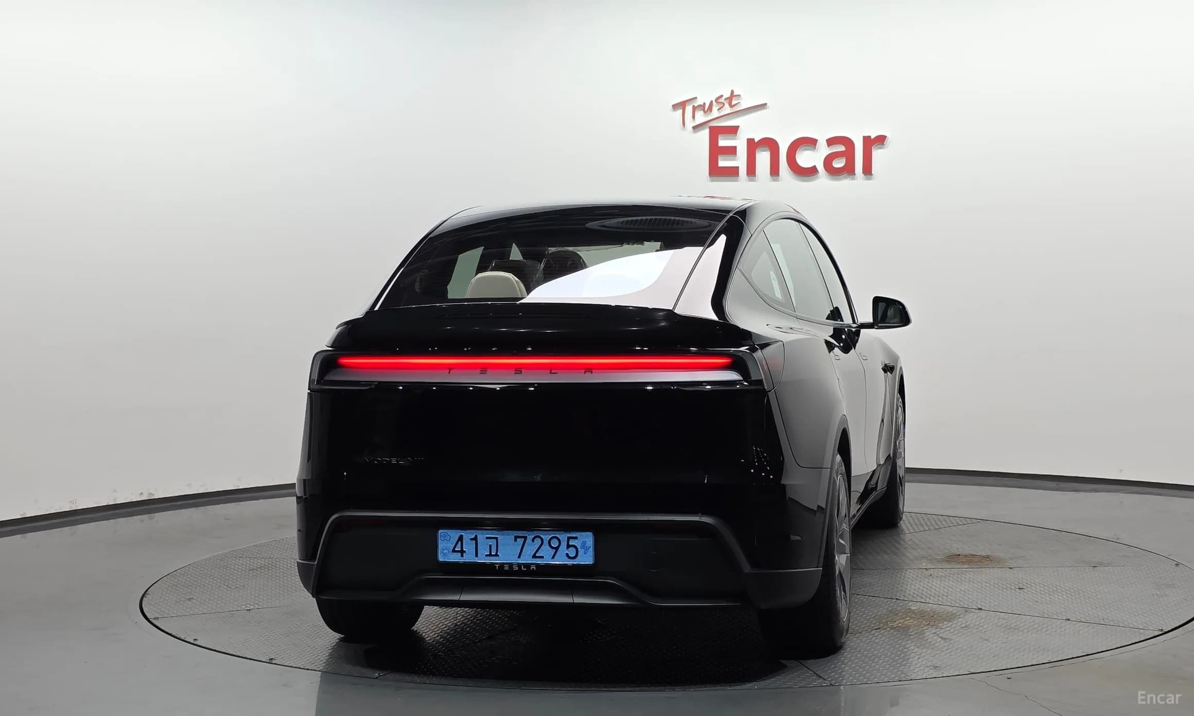 Model Y