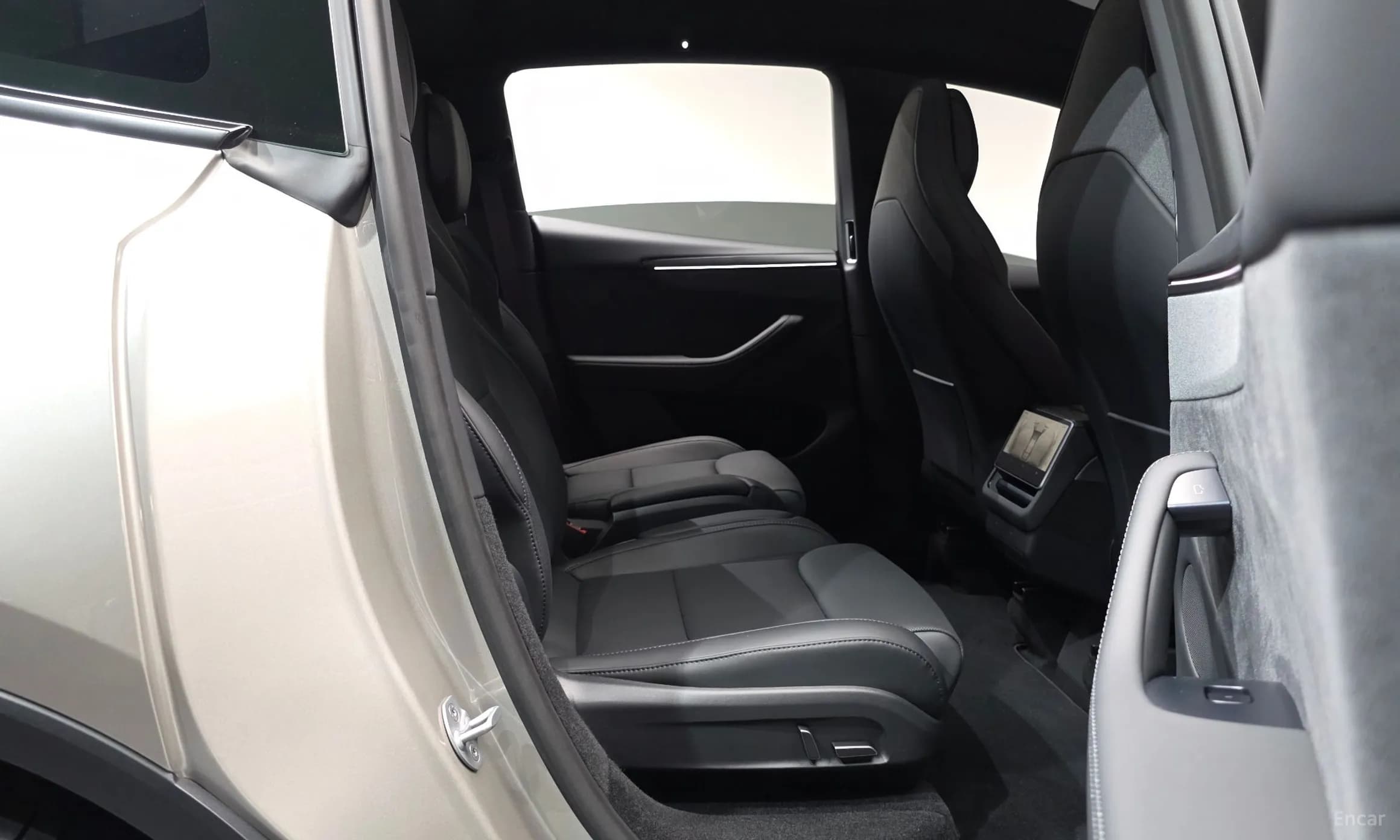 Model Y