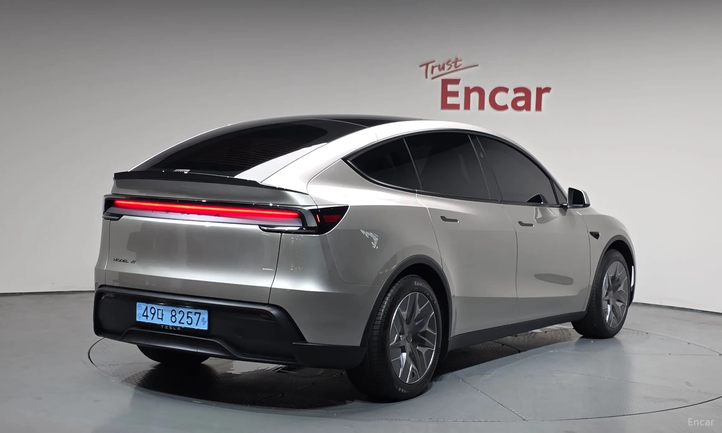 Model Y