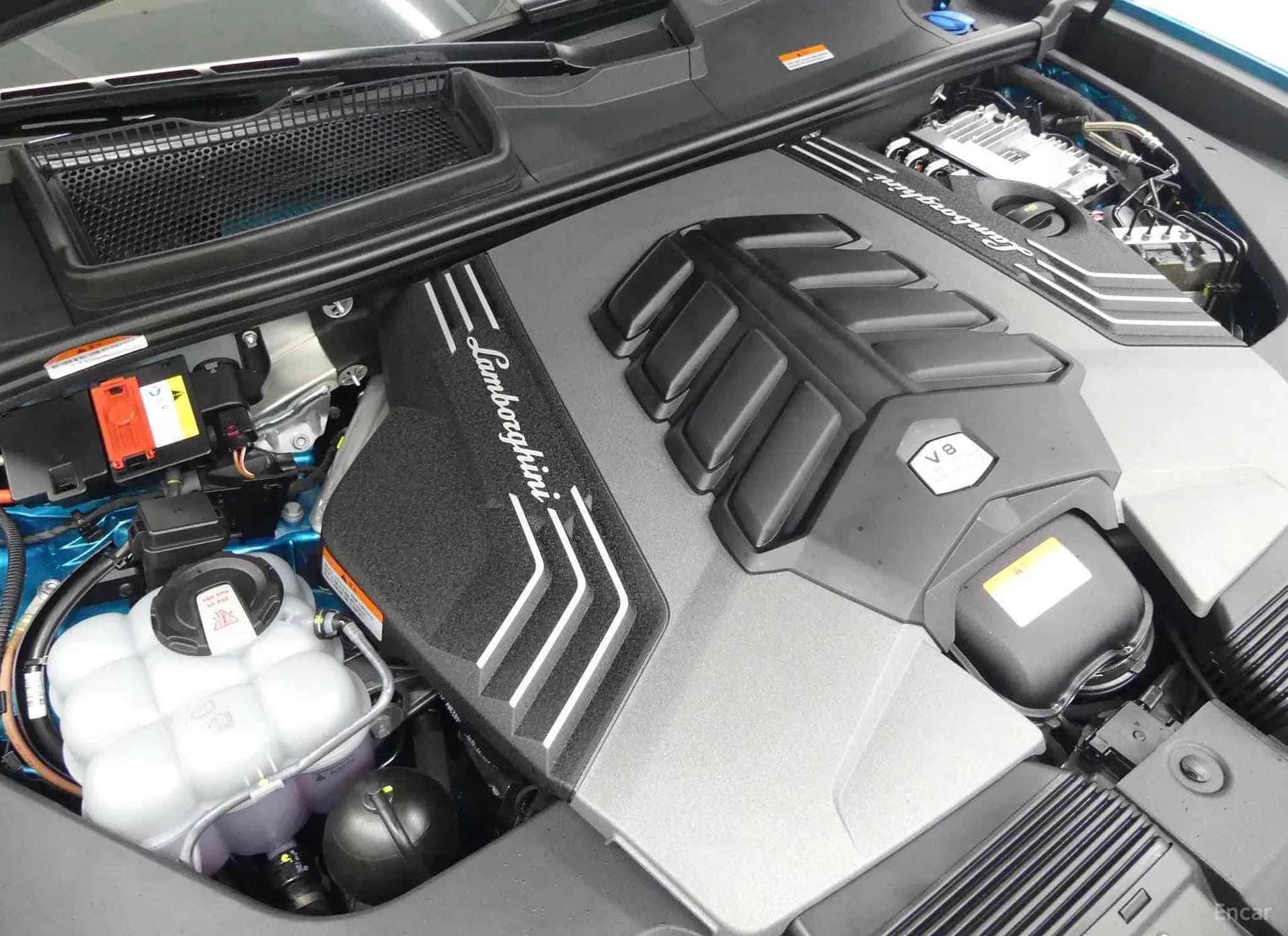 Urus