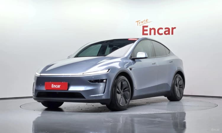 Model Y