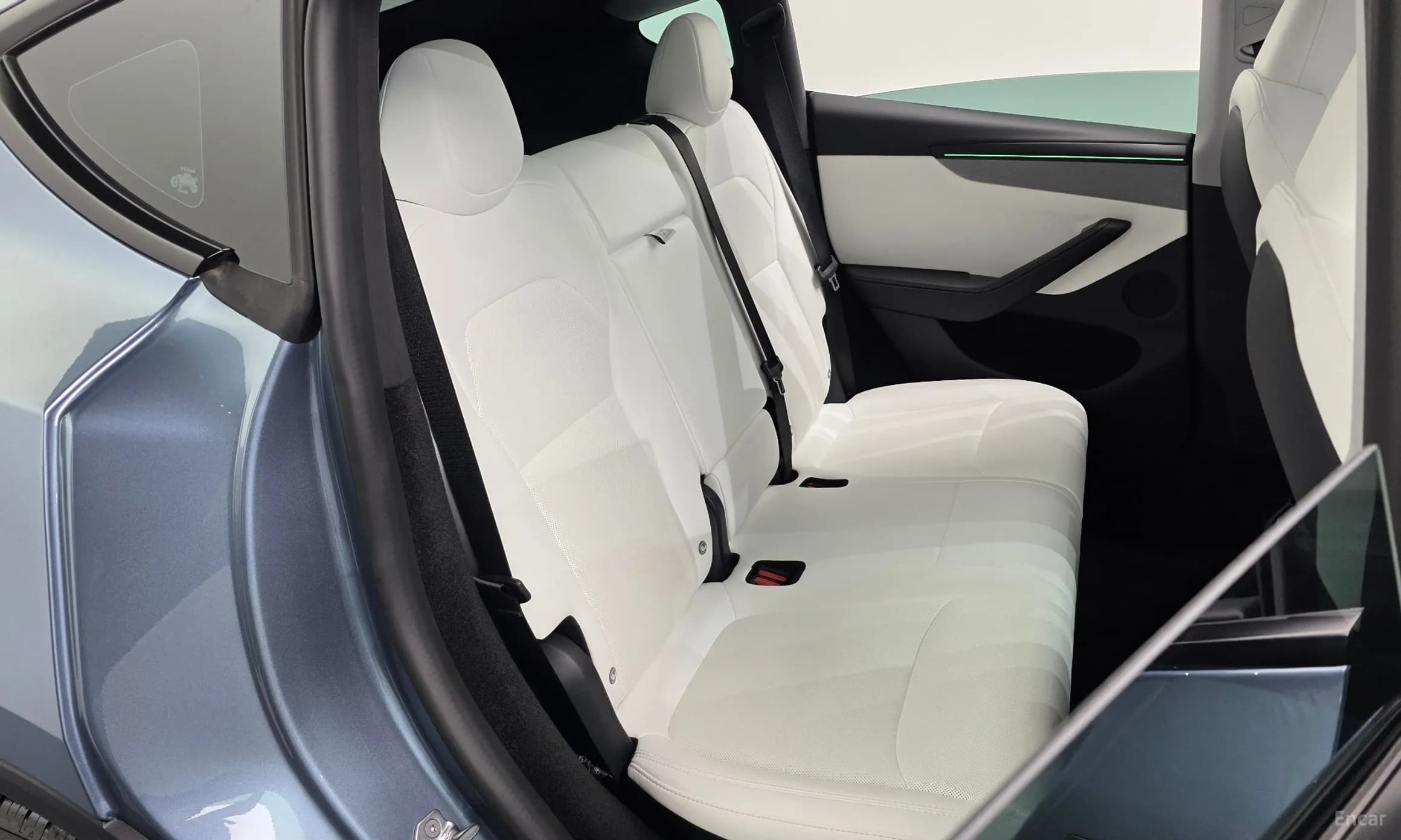 Model Y
