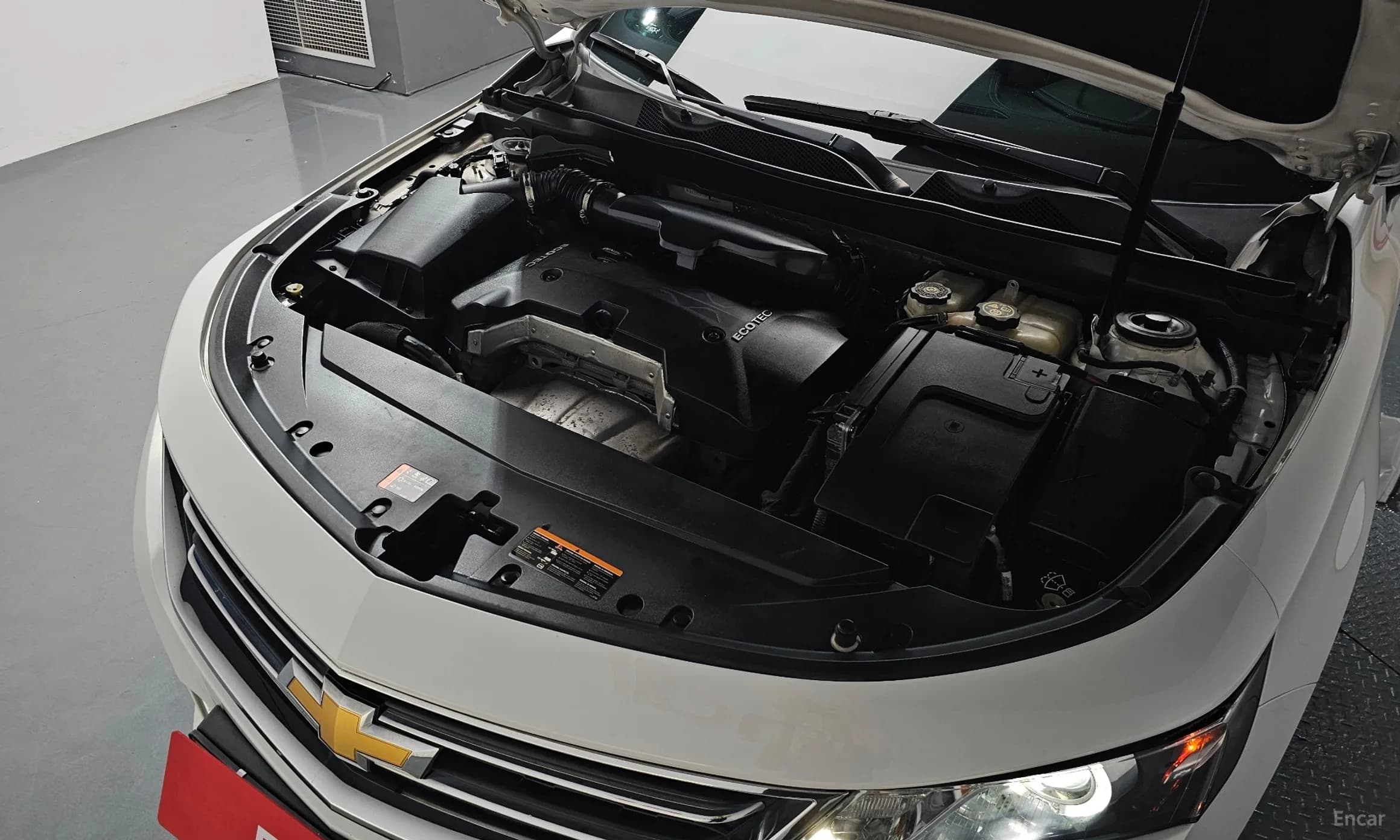 Impala