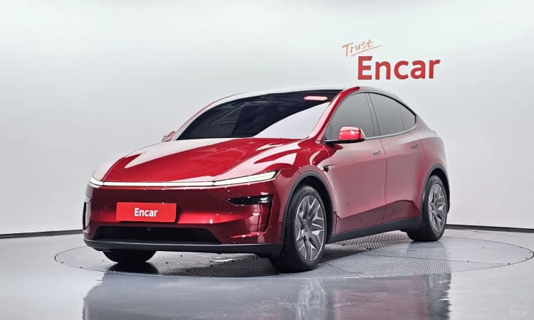 Model Y