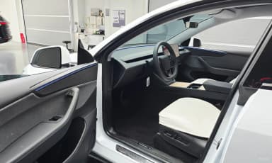 Model Y
