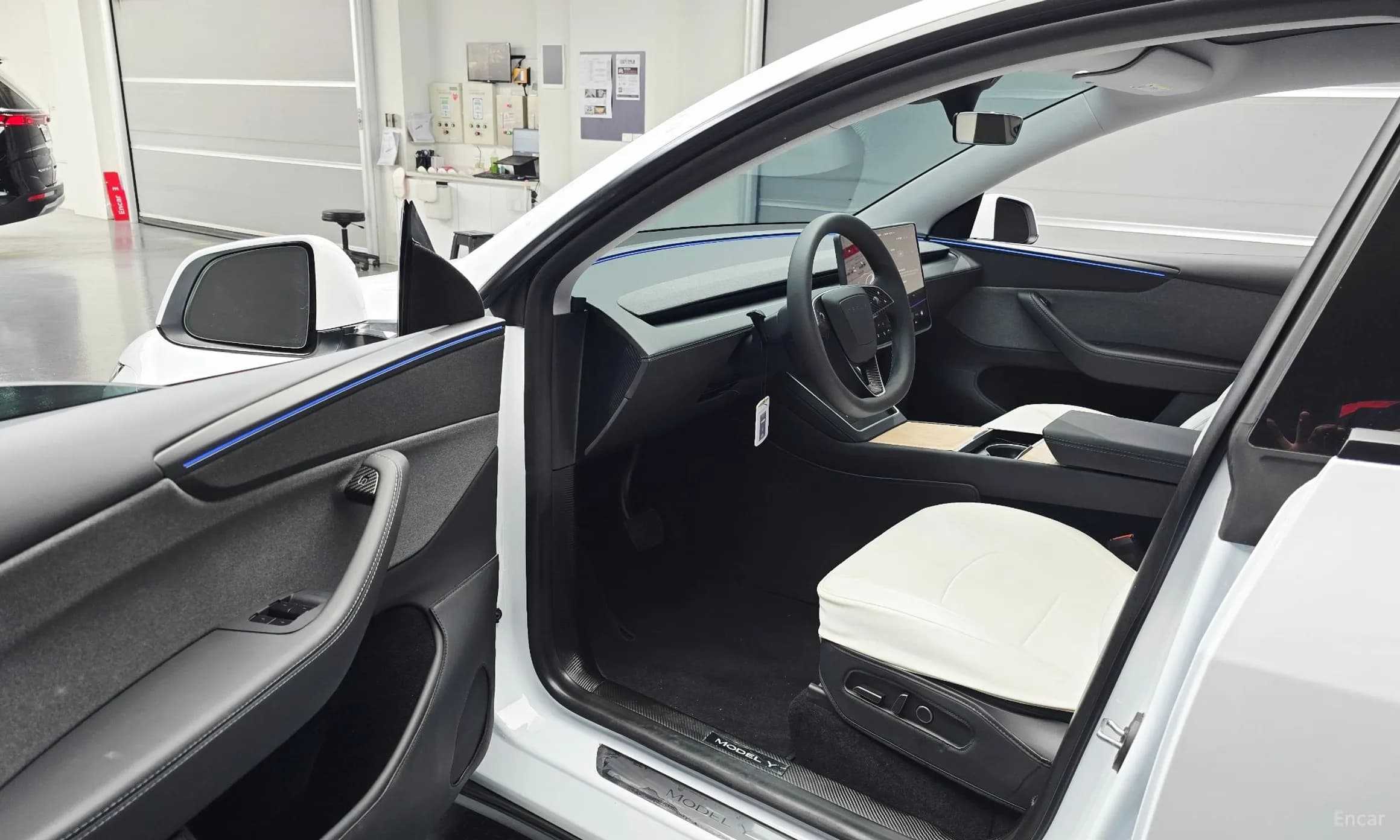 Model Y
