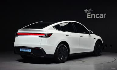 Model Y