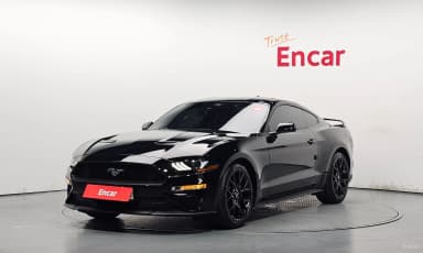 Mustang