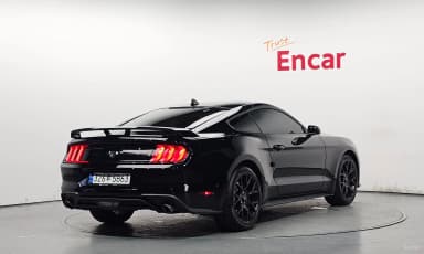 Mustang