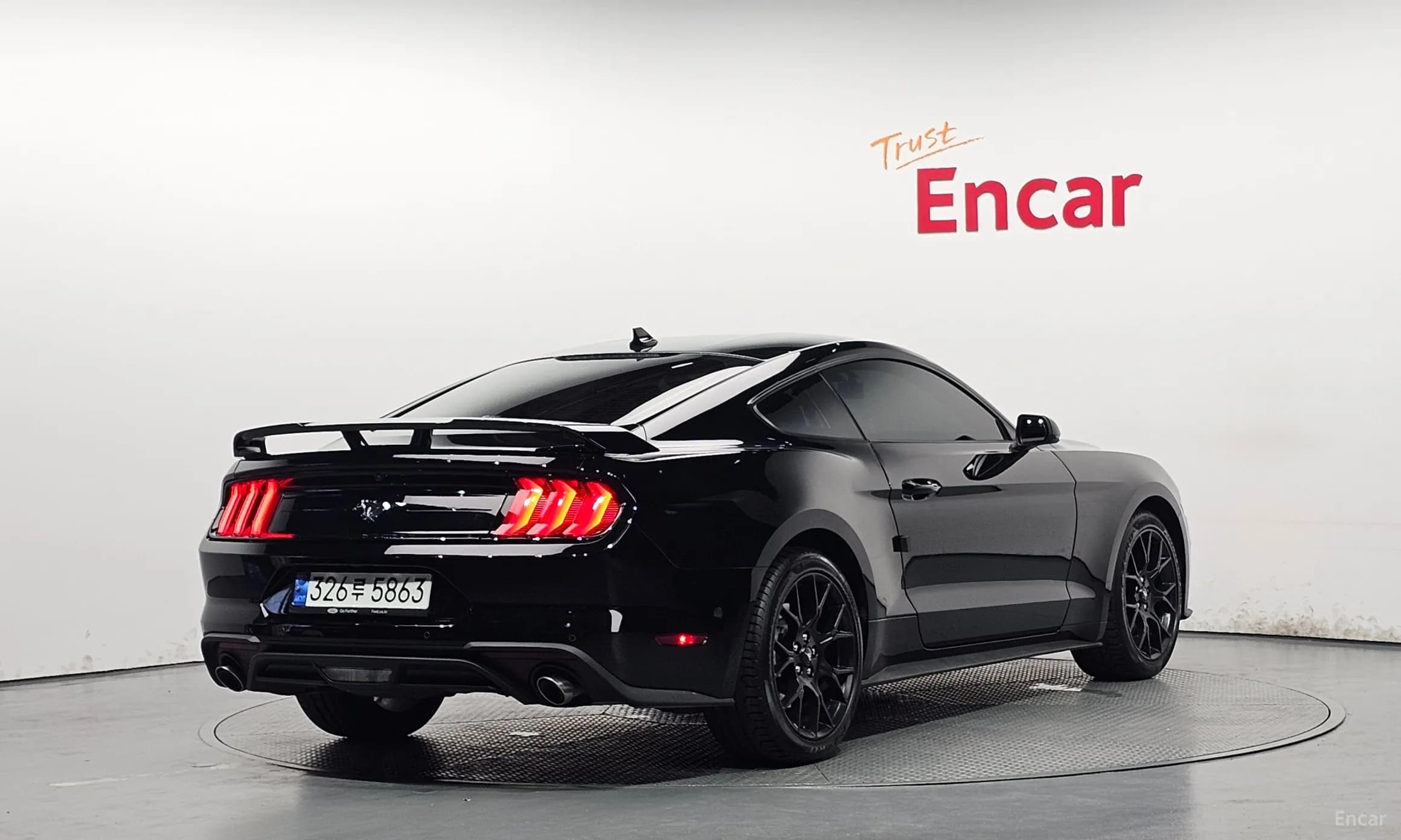 Mustang