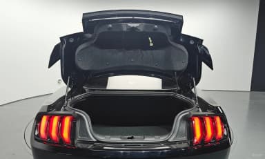 Mustang