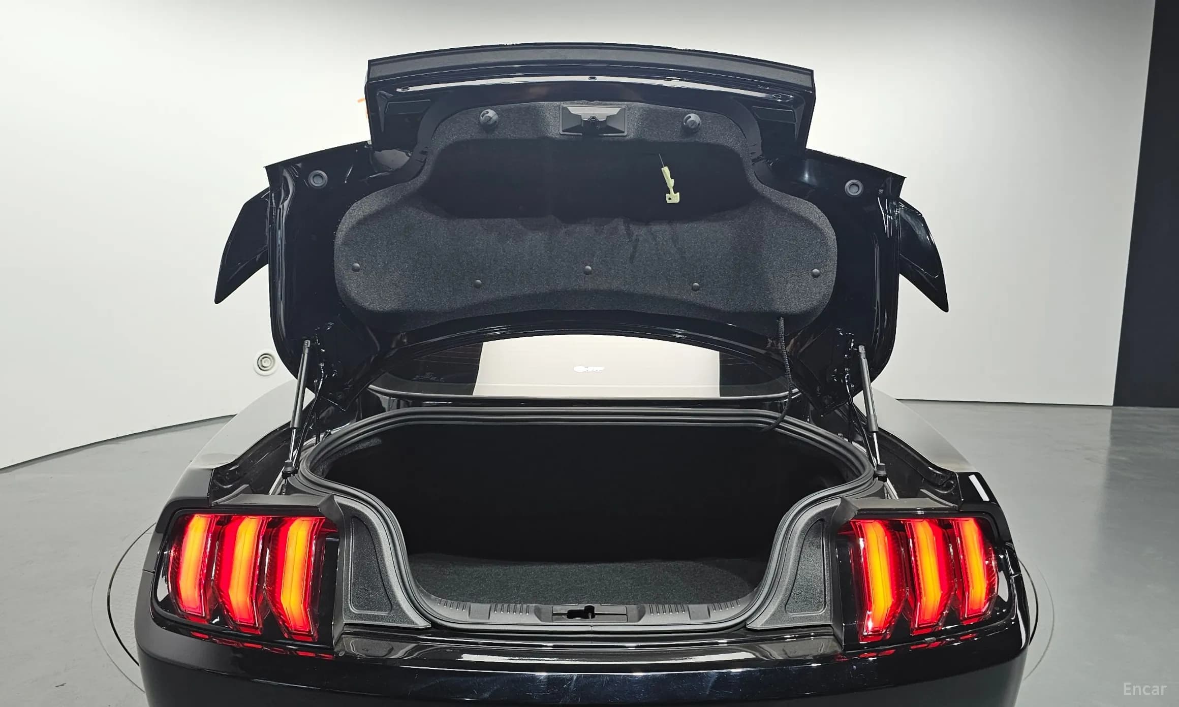 Mustang