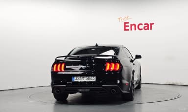 Mustang
