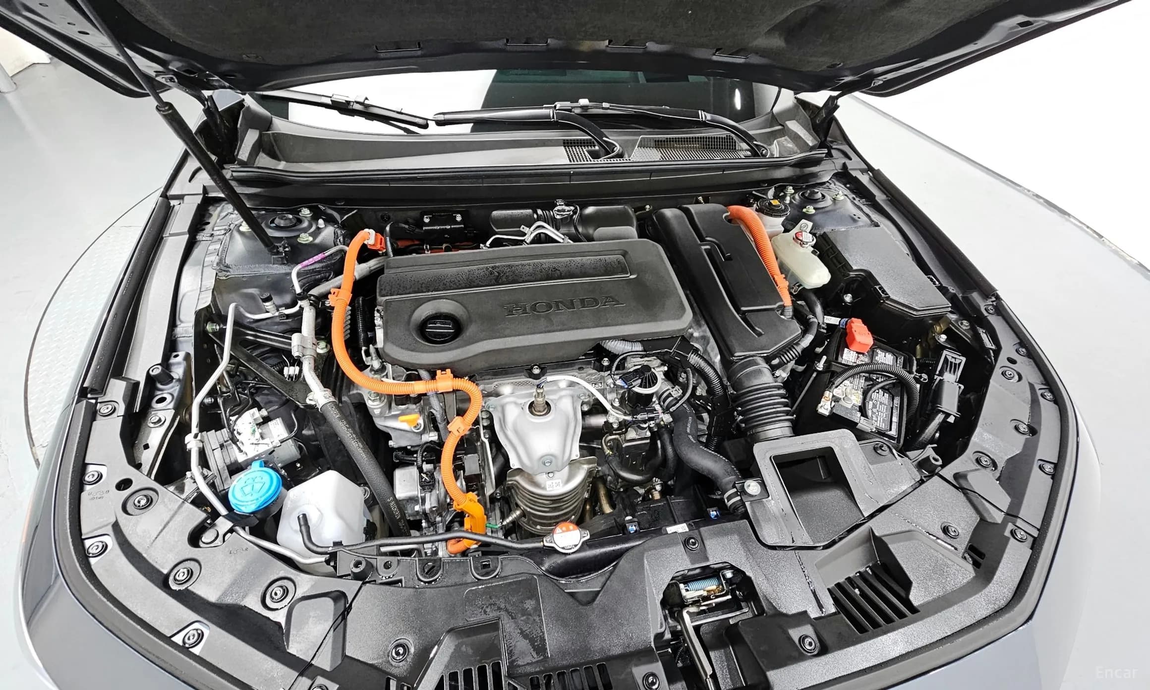 Accord 11th Generation