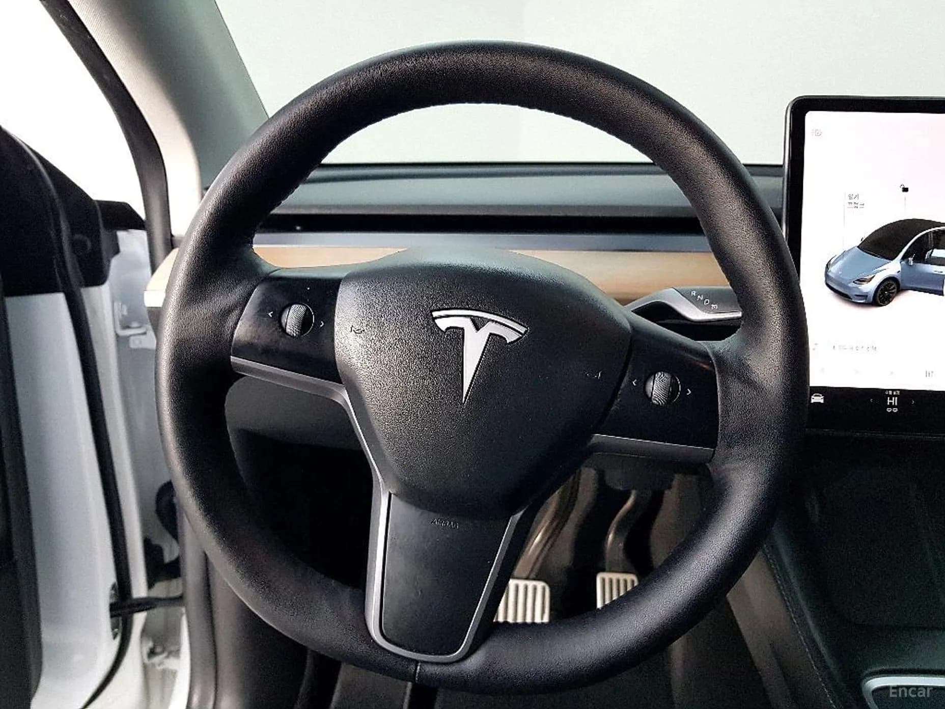 Model Y