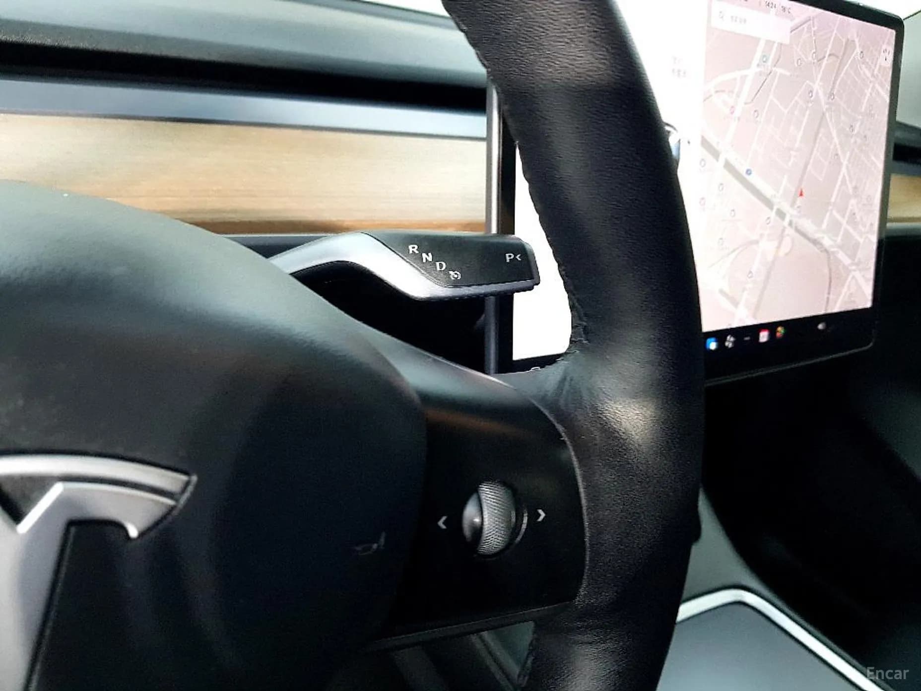 Model Y