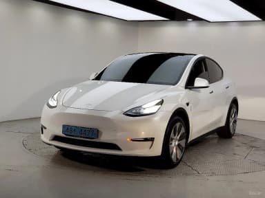 Model Y
