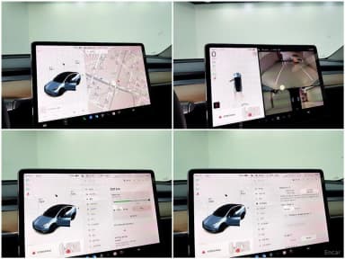 Model Y