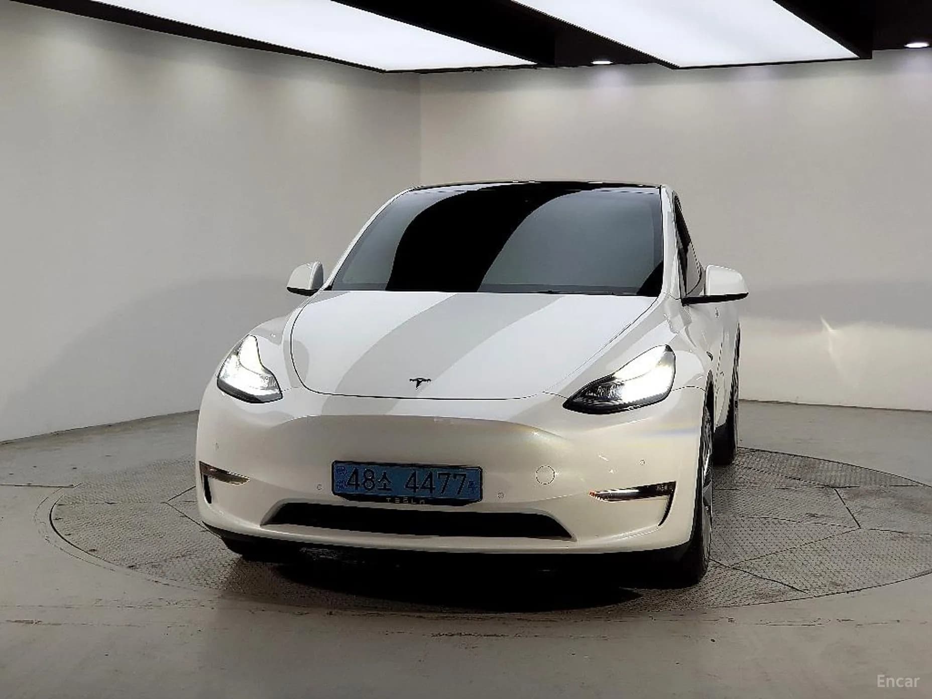 Model Y