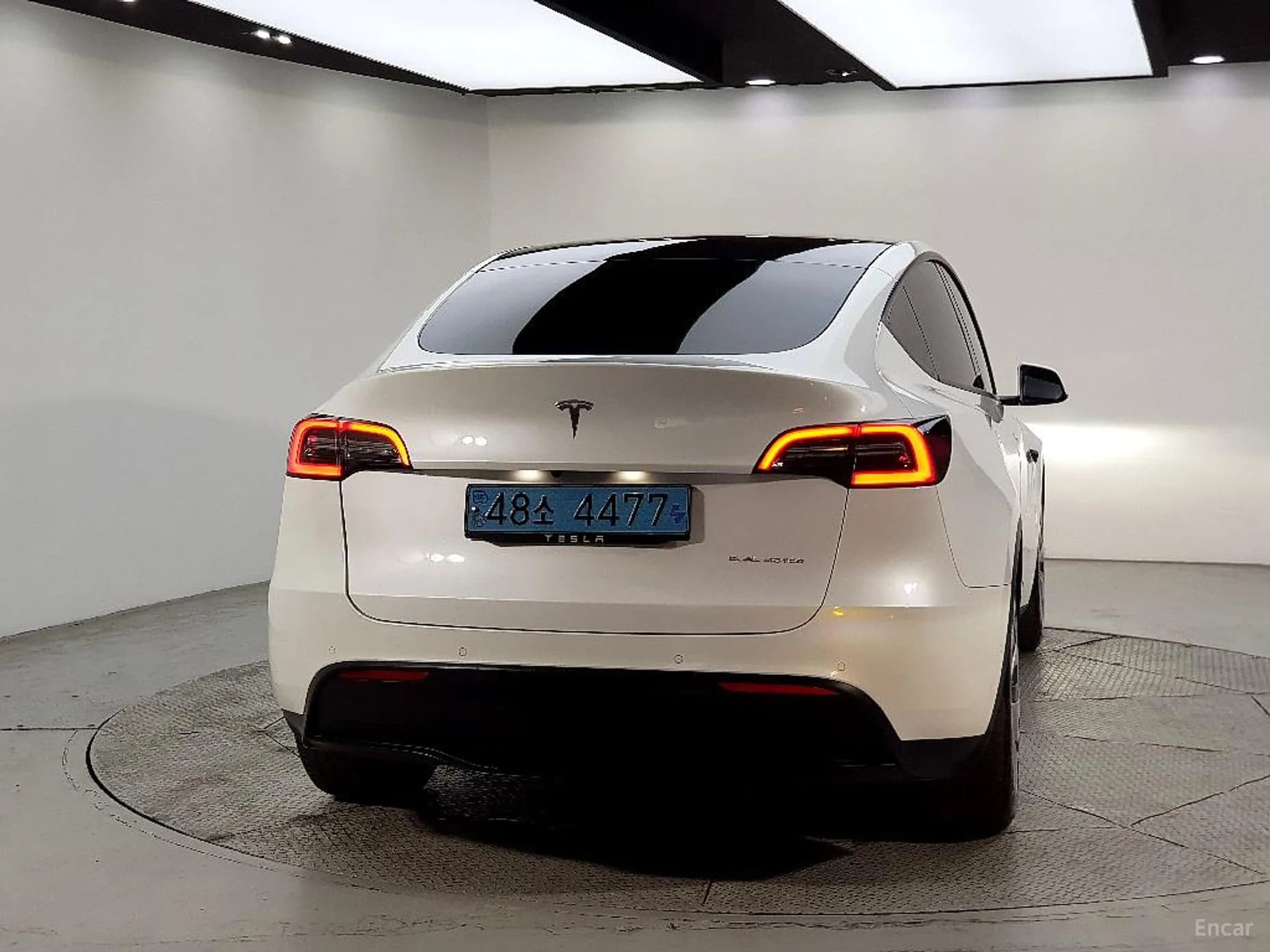 Model Y