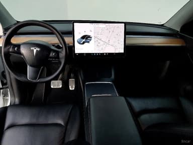 Model Y