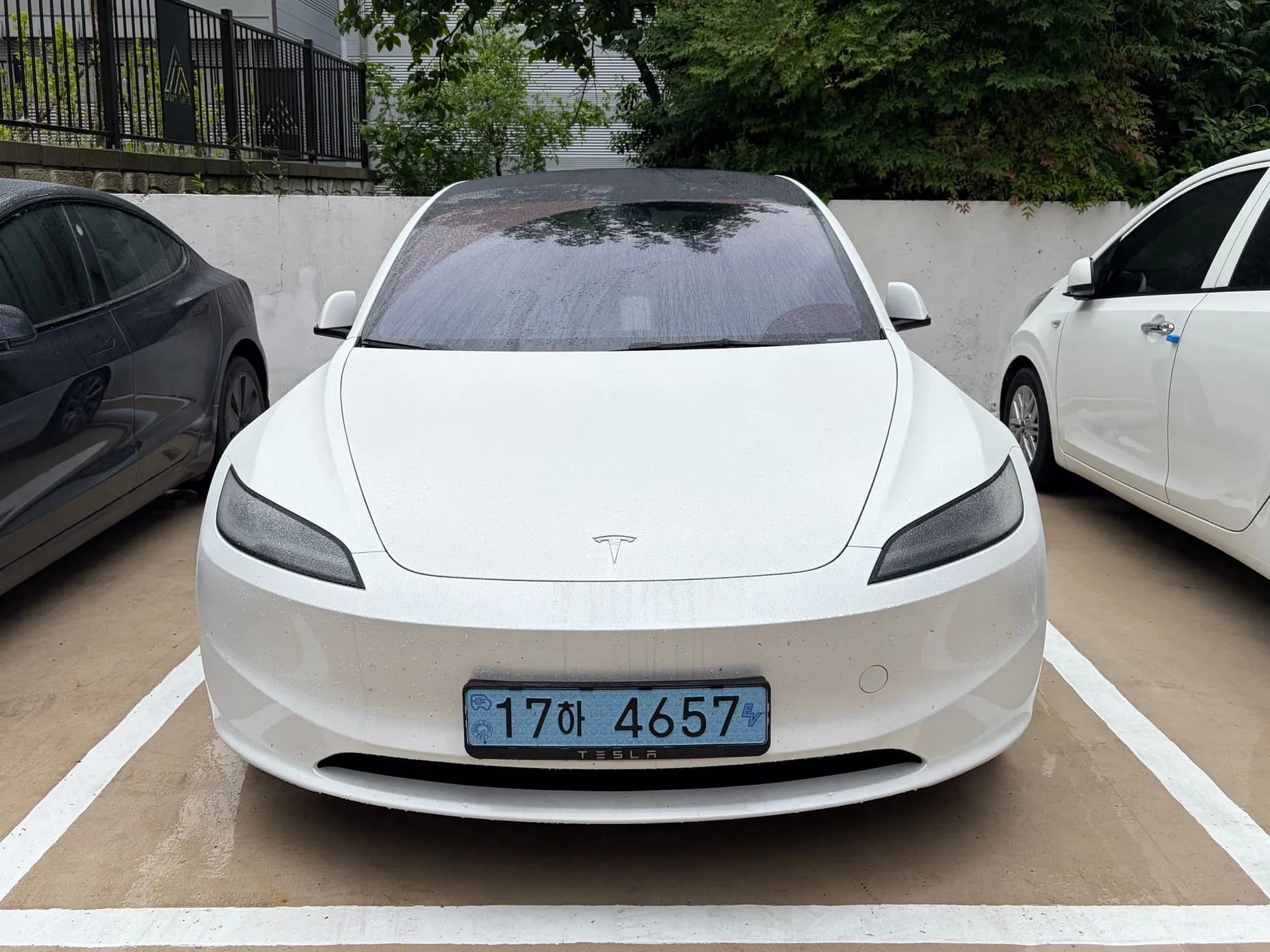 Model 3
