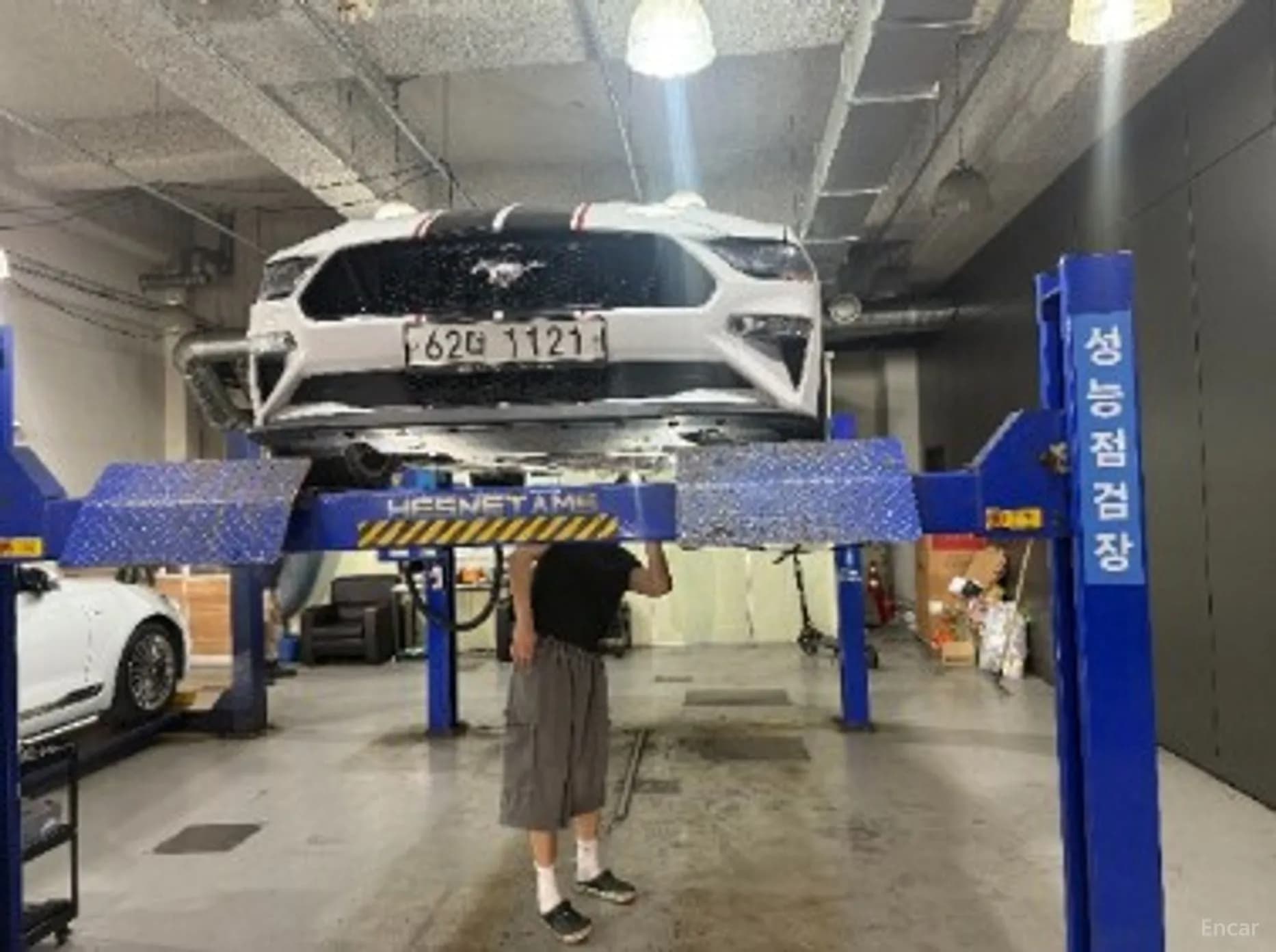 Mustang