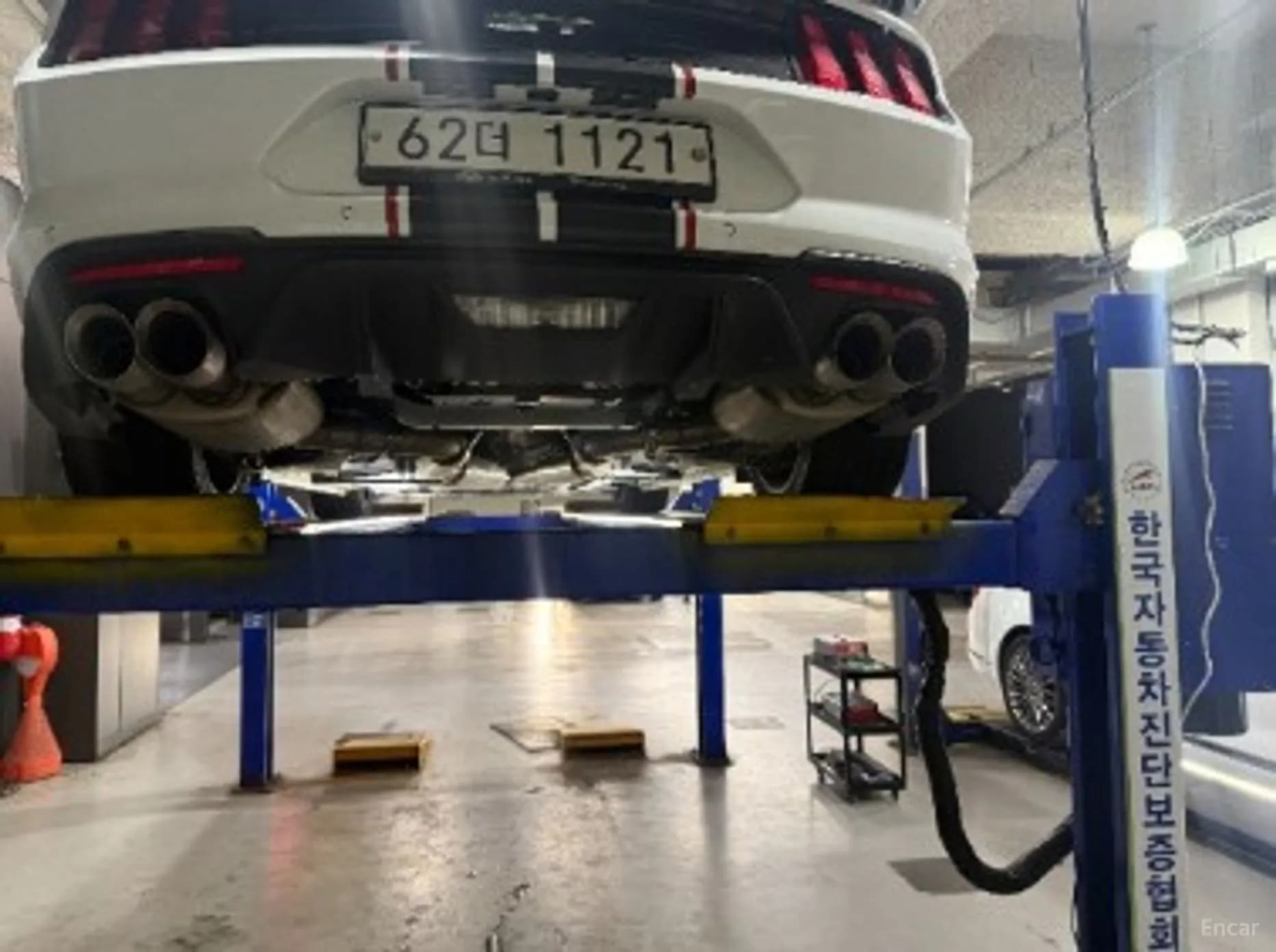Mustang