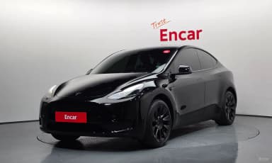 Model Y