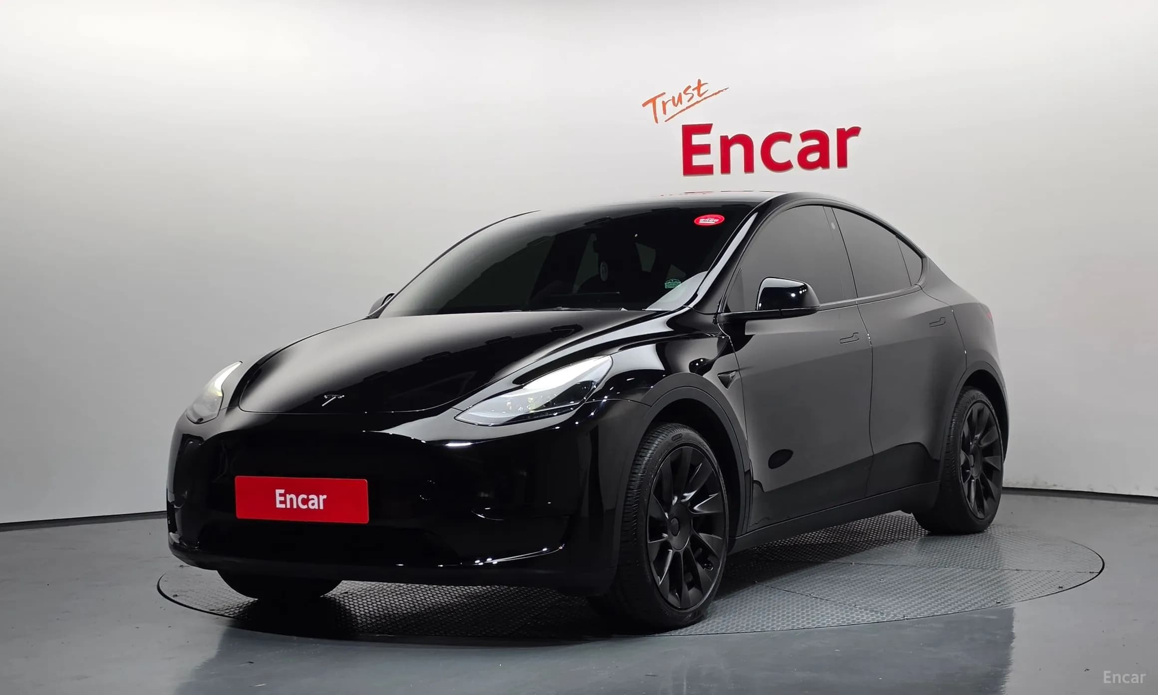 Model Y