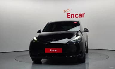 Model Y