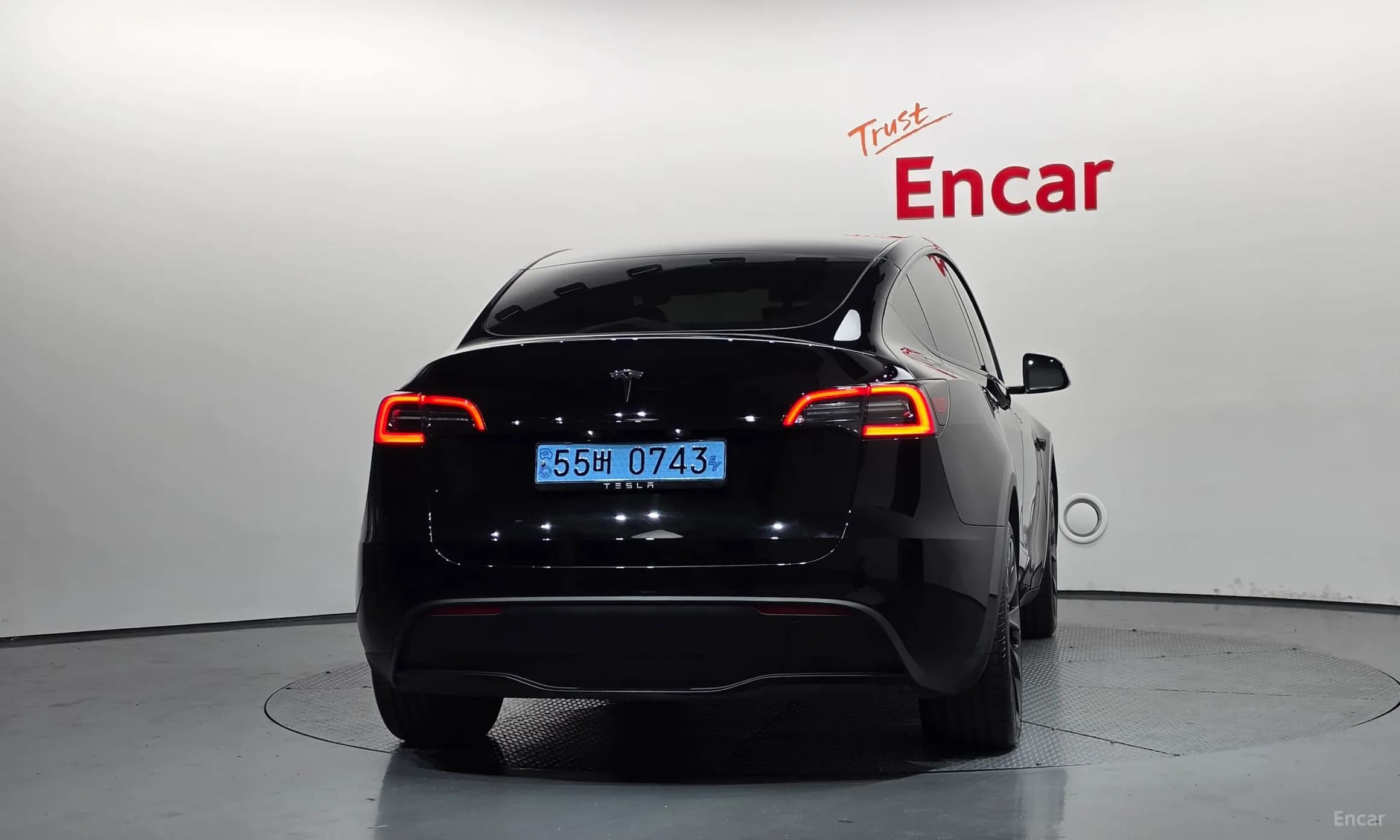 Model Y