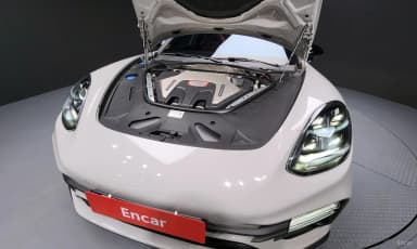 Panamera (971)