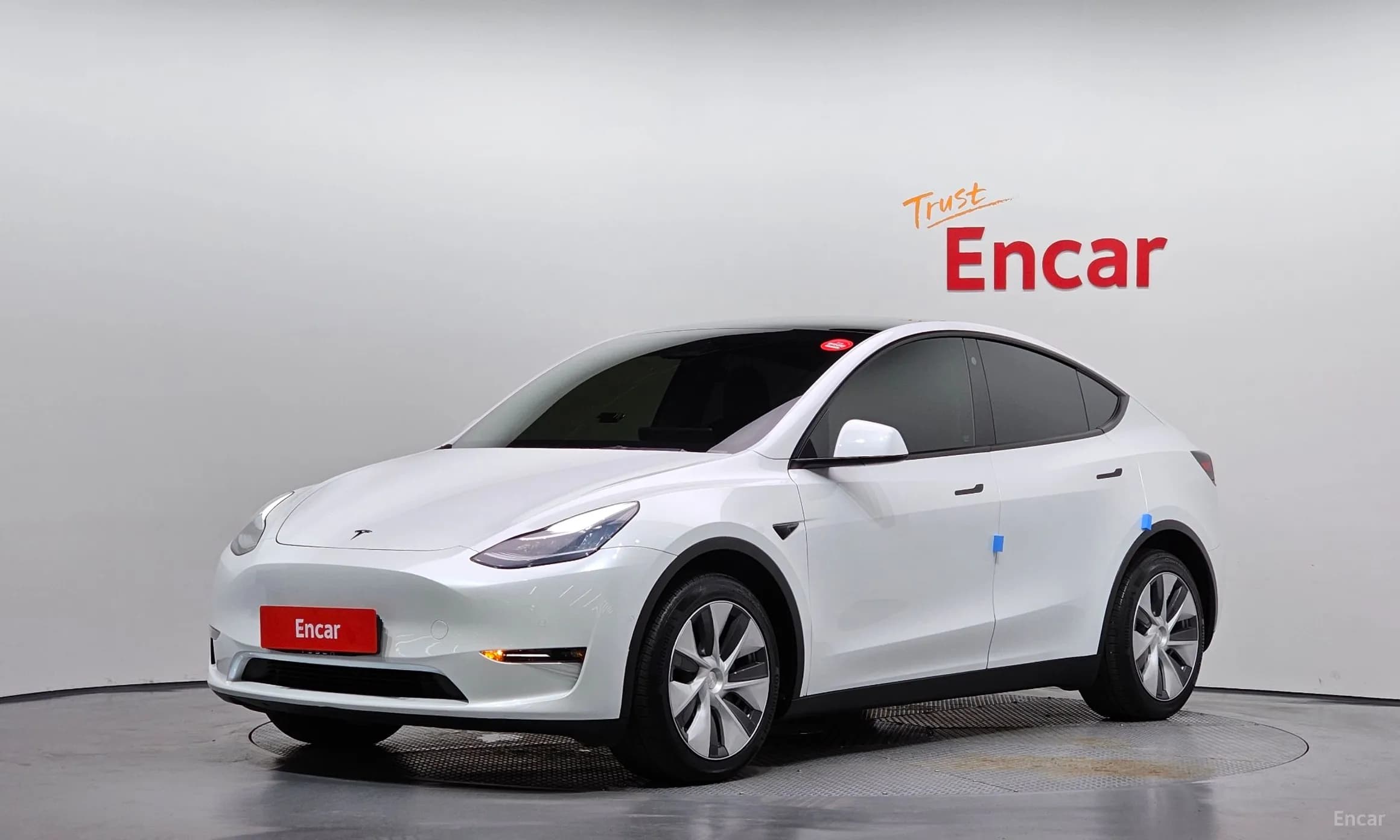 Model Y
