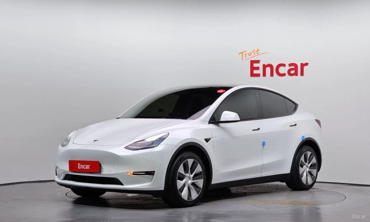 Model Y