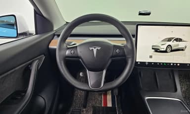 Model Y