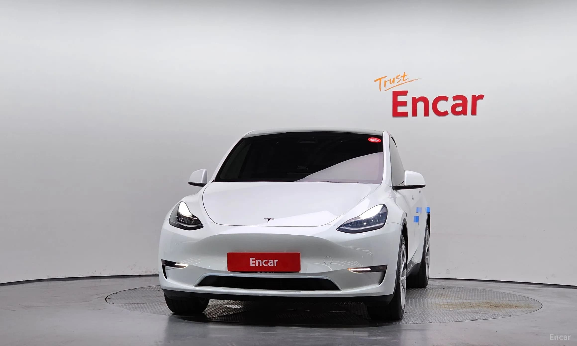 Model Y