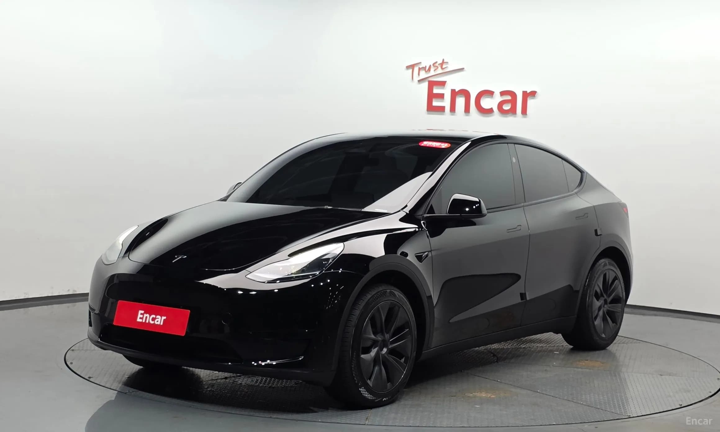 Model Y