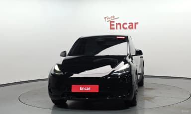 Model Y