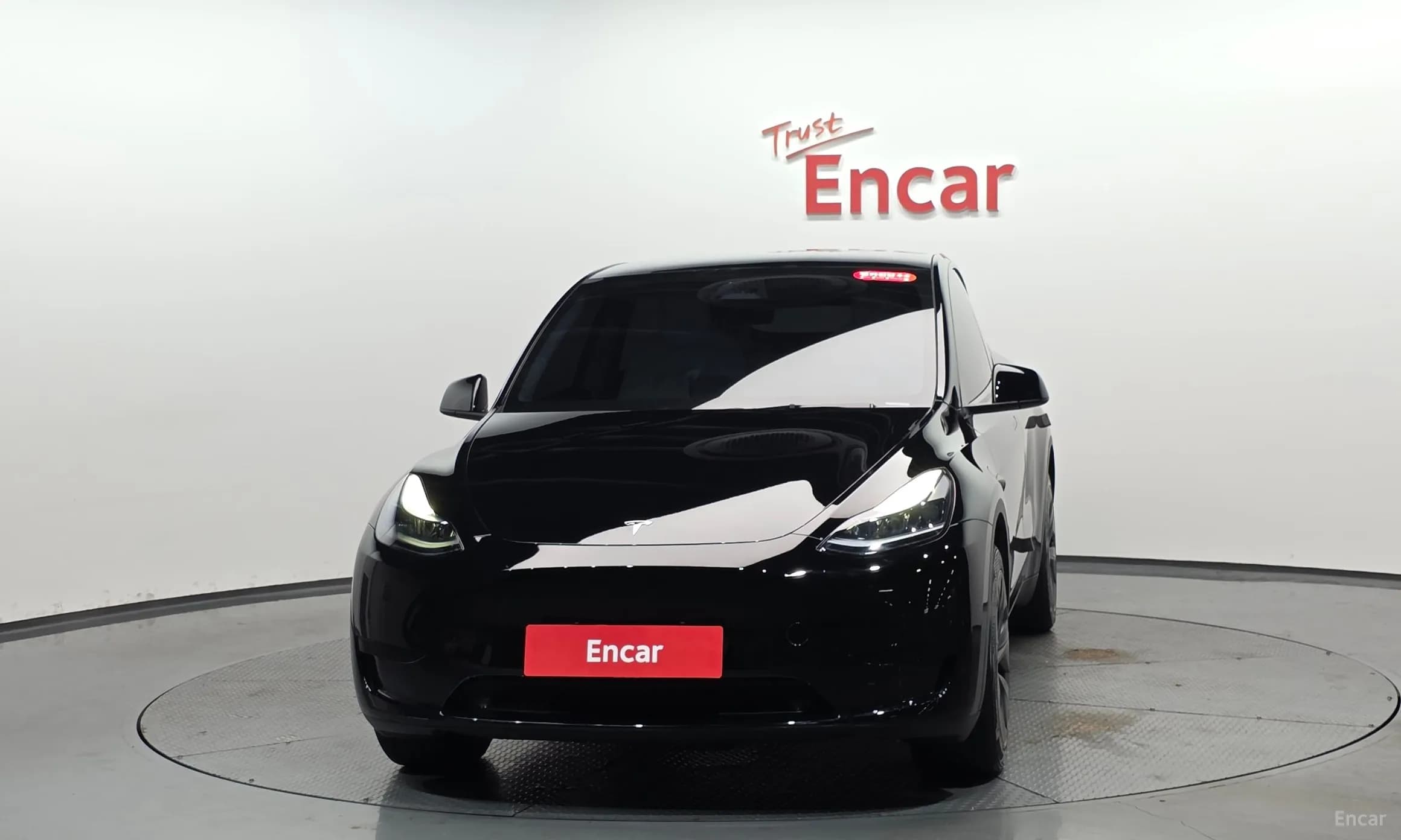 Model Y