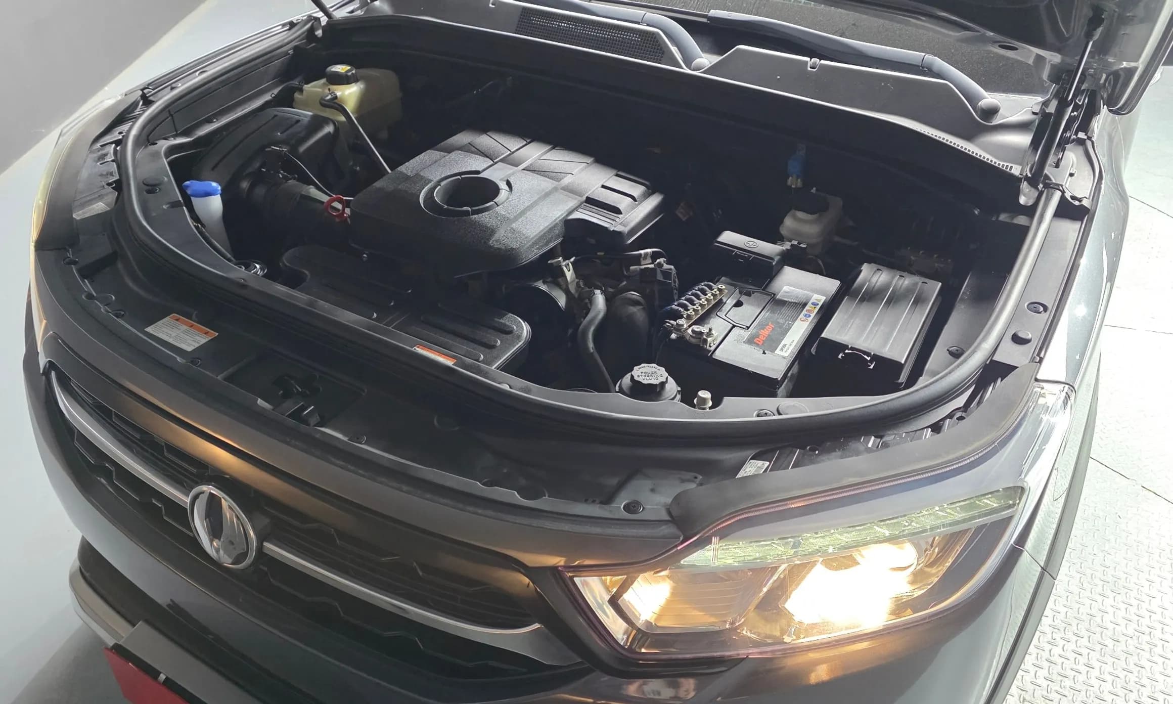 Rexton Sports