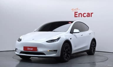 Model Y