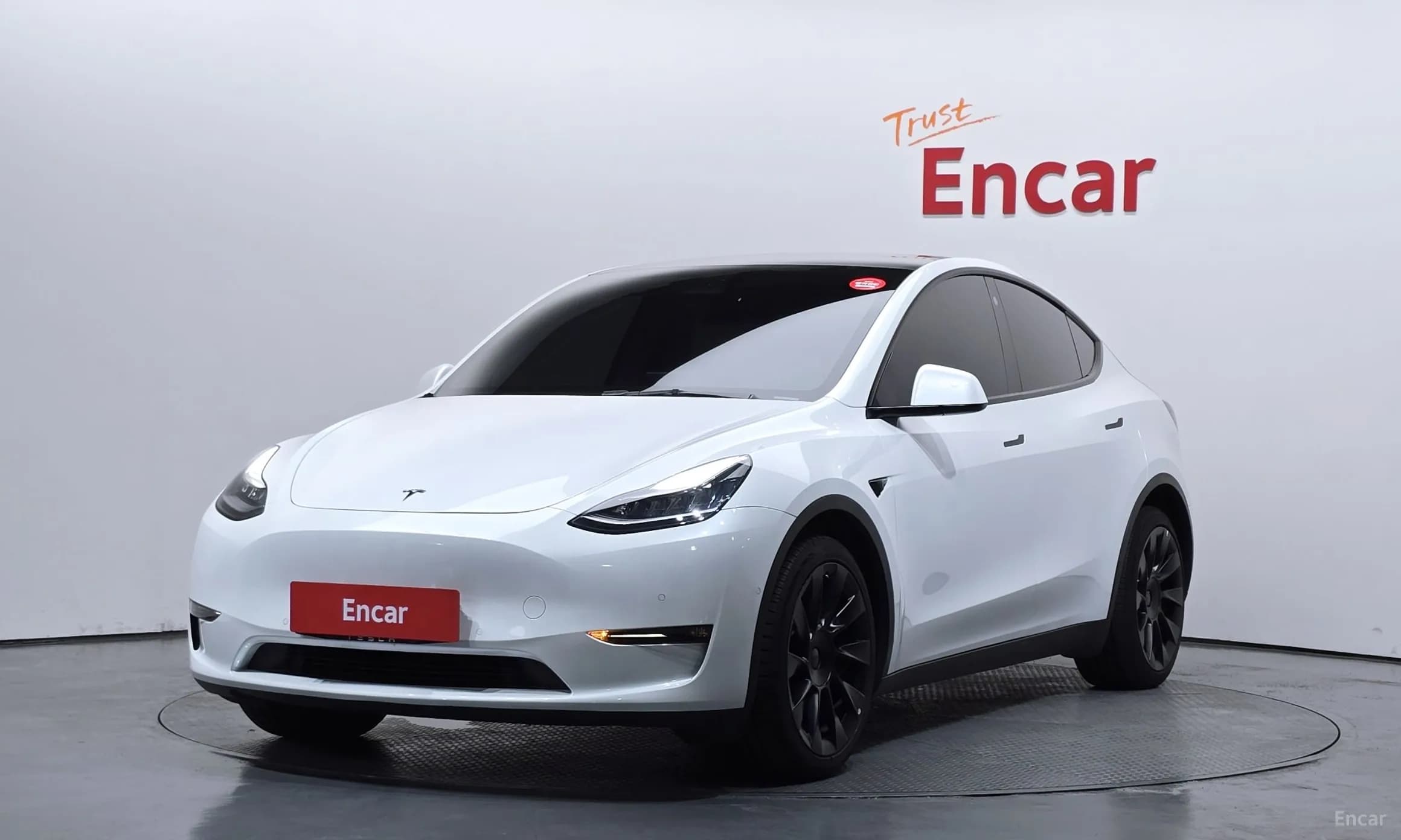 Model Y