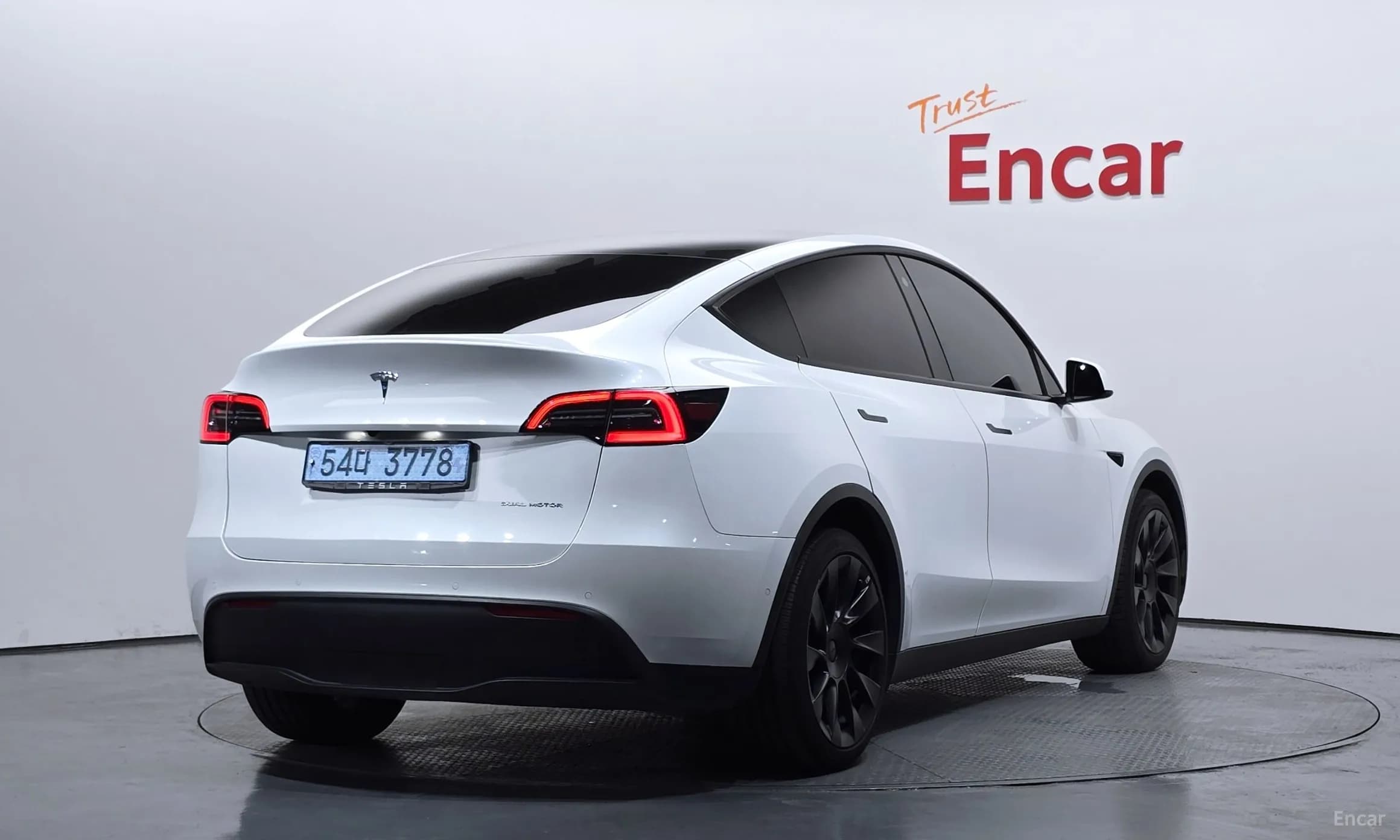 Model Y