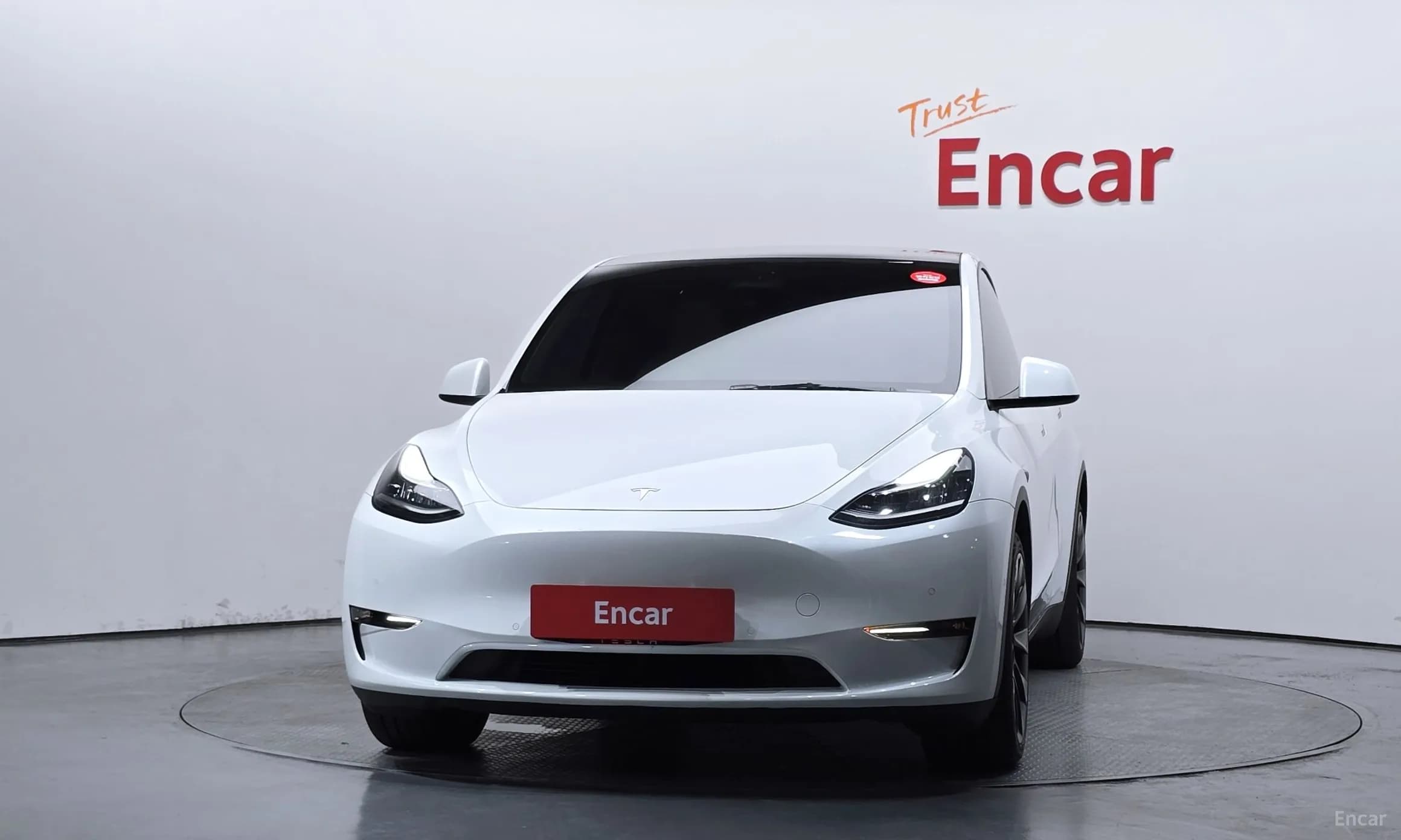 Model Y