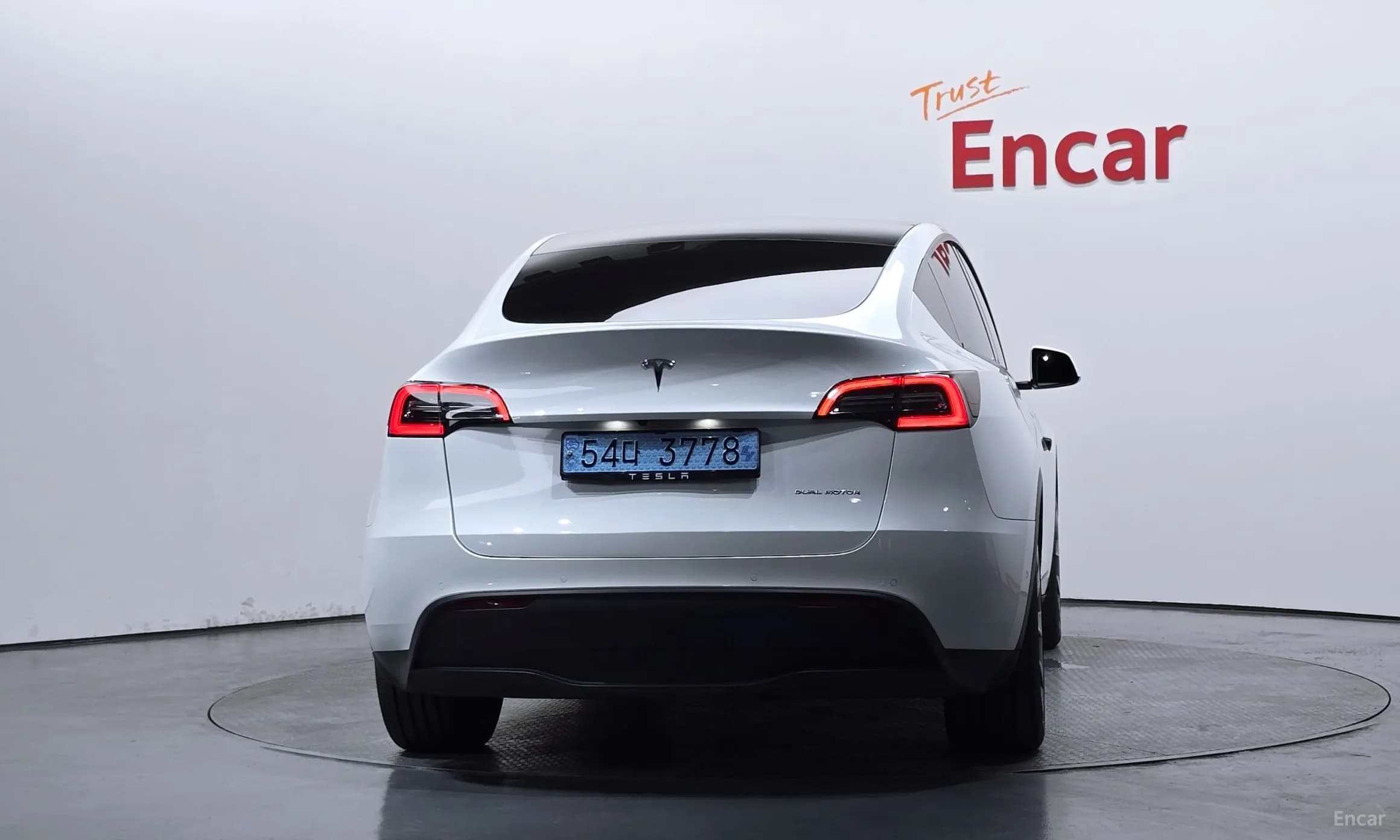 Model Y