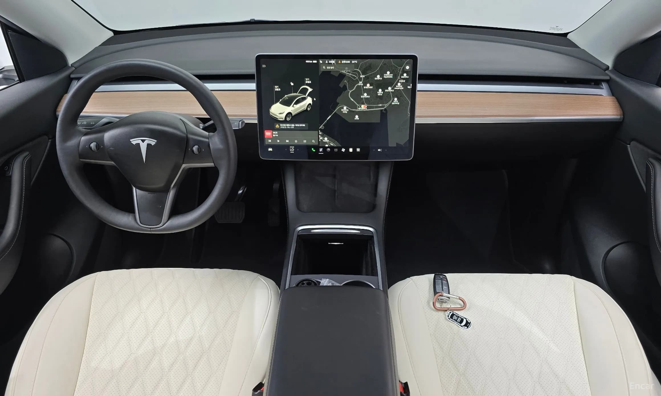 Model Y