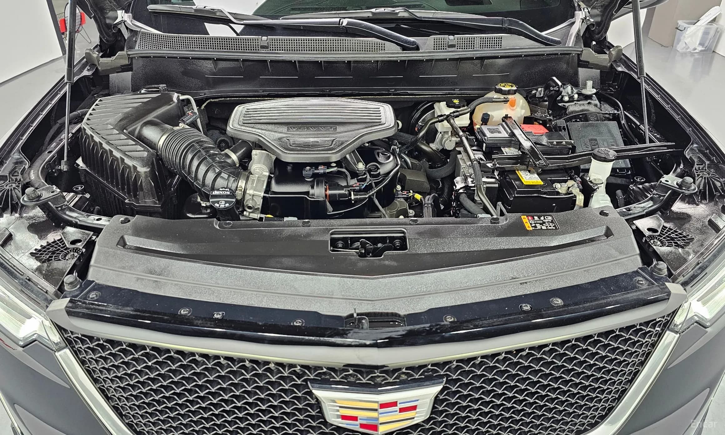 XT6