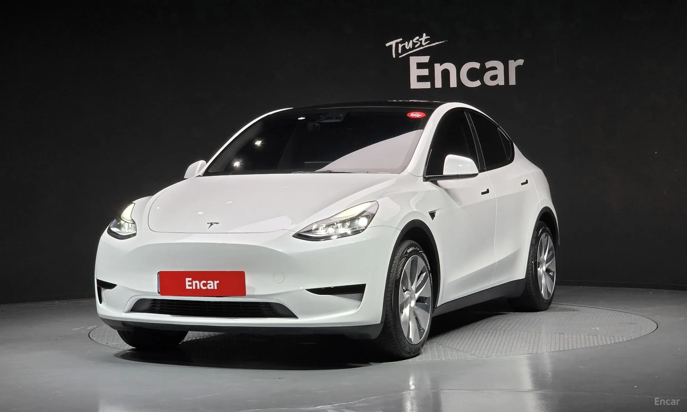 Model Y