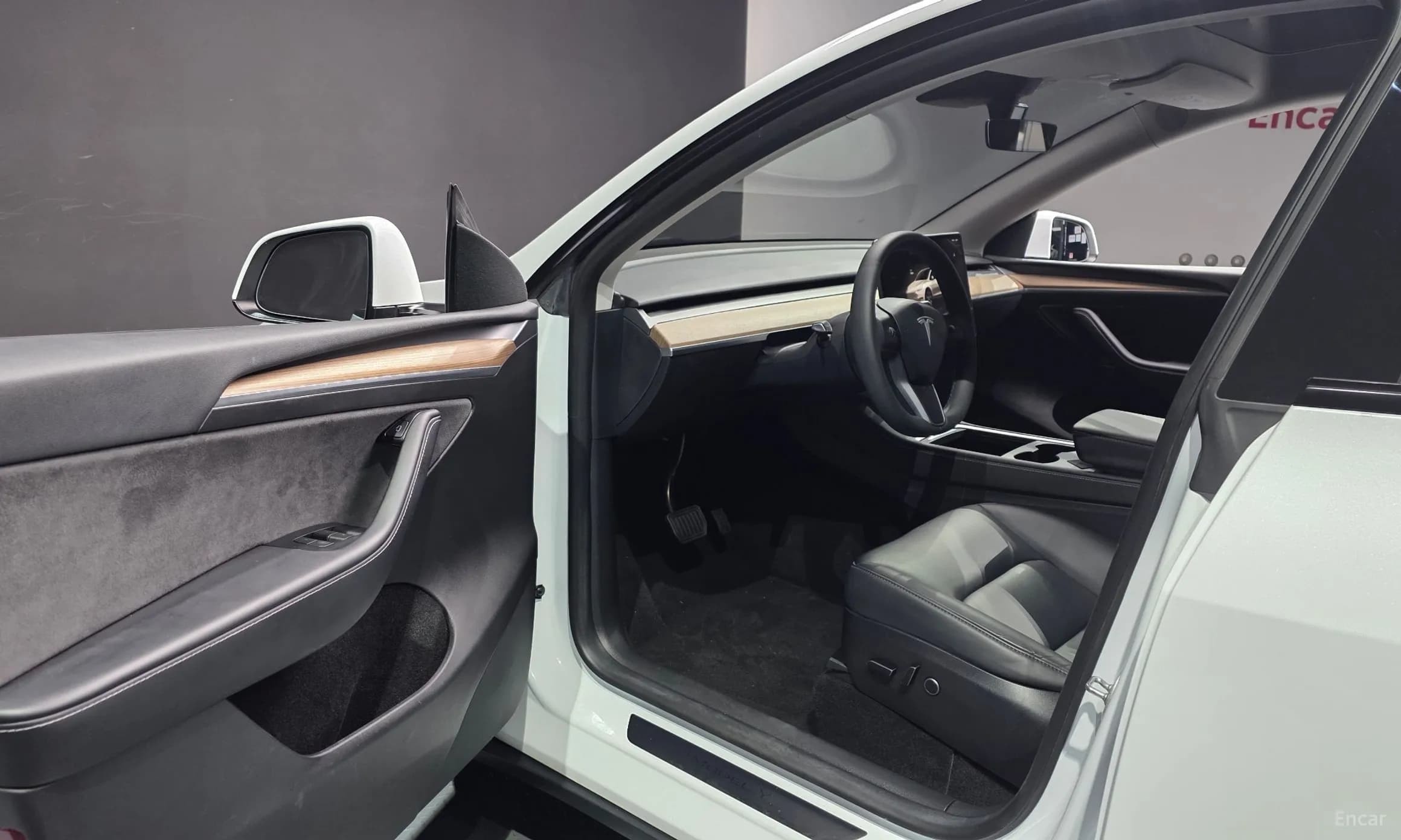 Model Y